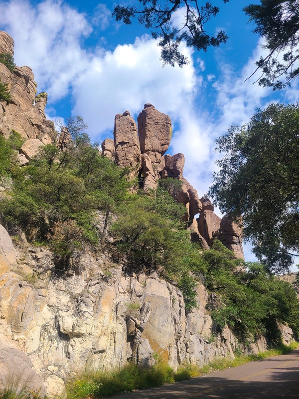Narrow paved scenic road beneath trees and tall rock formations at Chiricahua